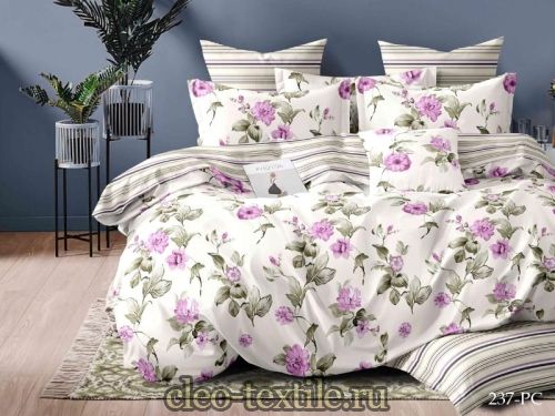   cleo pure cotton 31/237-pc 