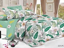   cleo pure cotton 31/223-pc 