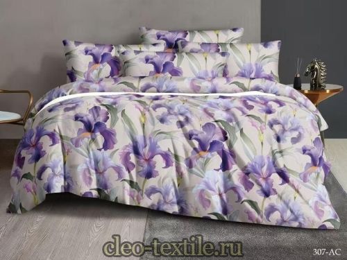   cleo art color 31/307-ac 